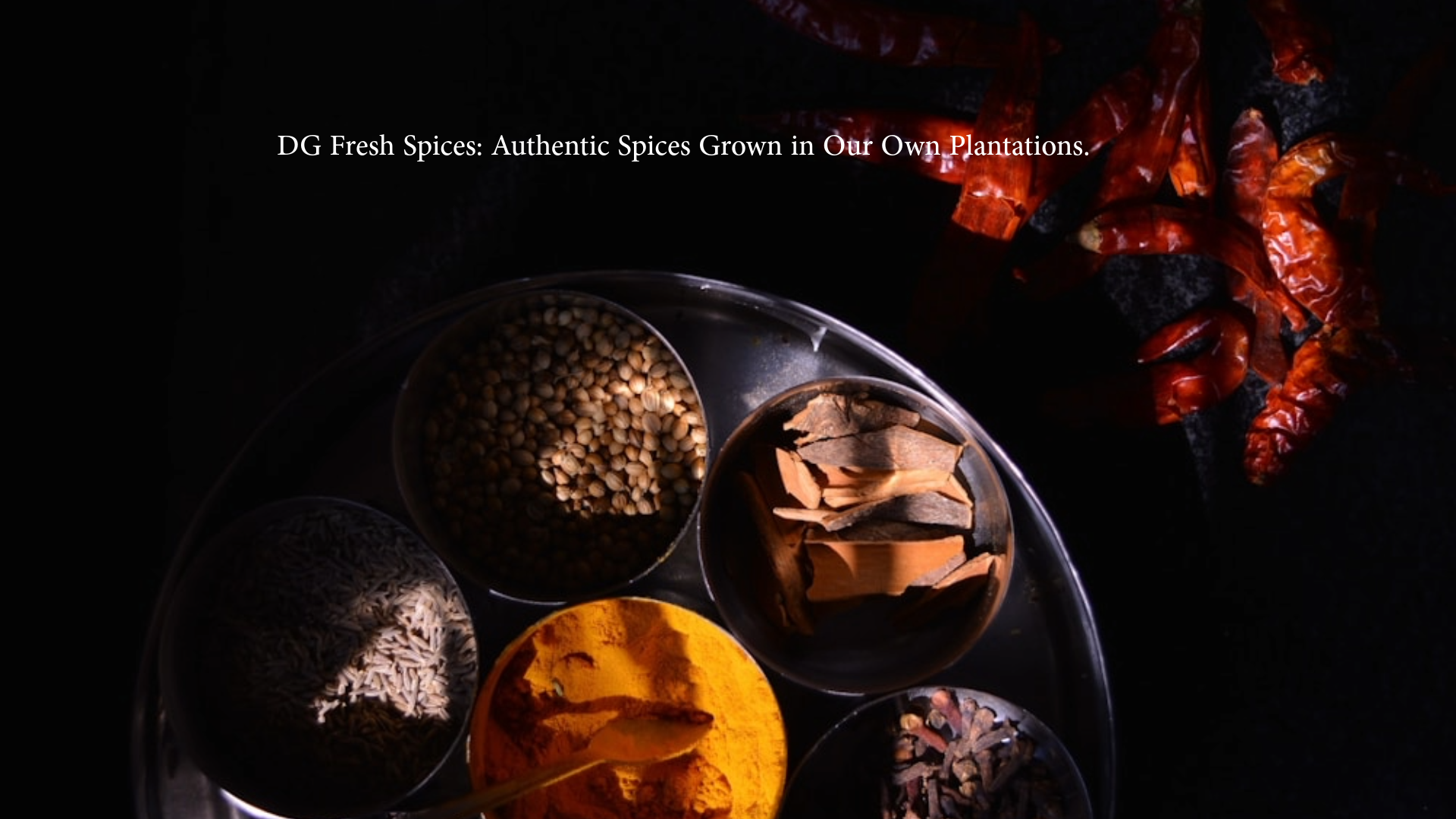authentic-spices-india-dgfreshspices